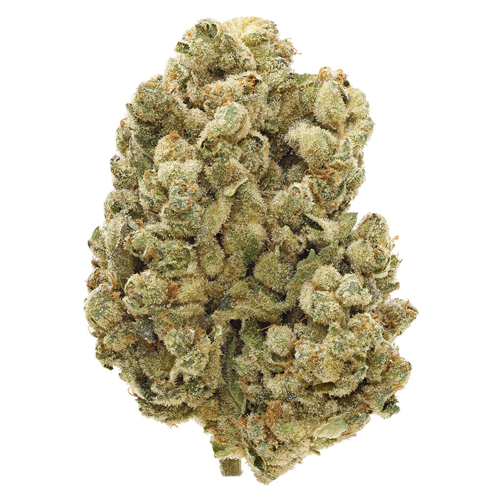 San Rafael '71 - Sourdough -  Indica 14G