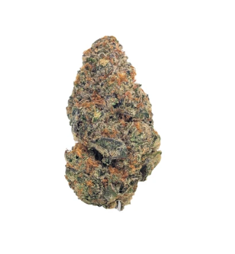 Simply Bare Organic : BC Organic Velvet Octane