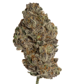 Island Genetics: Strawberry Froyo Smalls (3.5g)
