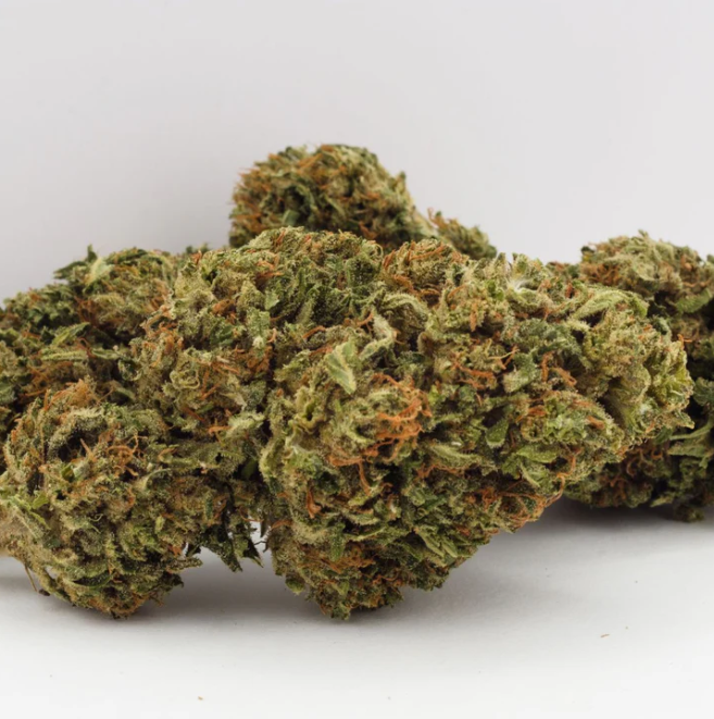 Grown Here Farms : Day Dreamin' Infused CBD Flower