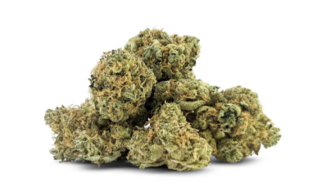 Bc Smalls - Orange Zlush Smalls