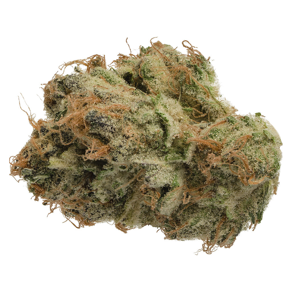 Jonny Chronic : Tropicanna