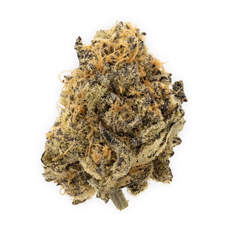 Herbal Dispatch : MEAT BREATH