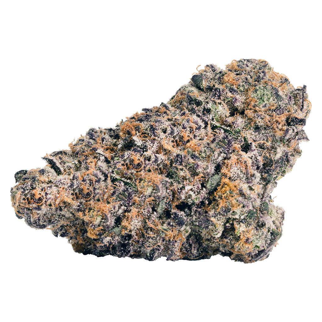BlkMkt : Rainbow P