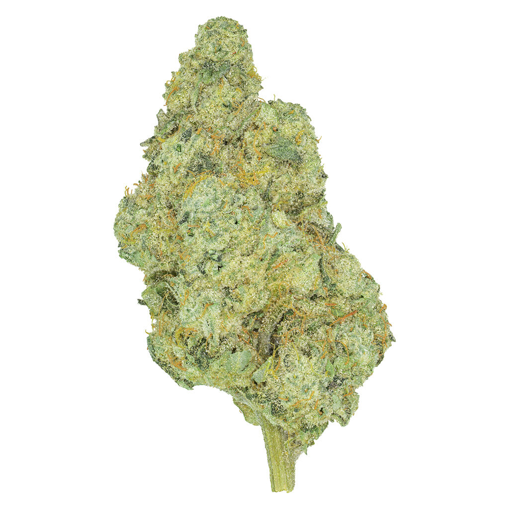 San Rafael '71 - Rotational - Ginger Breath Cks - 3.5G