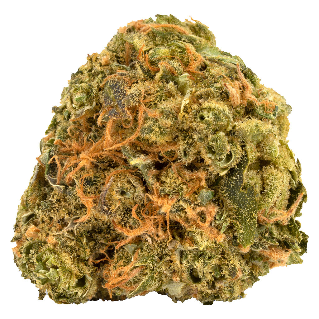 PALMETTO : ULTRA SOUR
