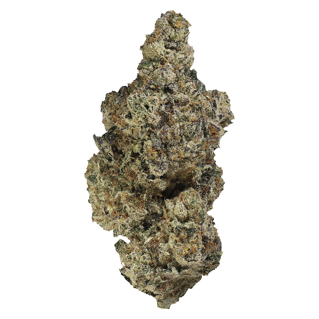 Homestead : Bandwagon Indica