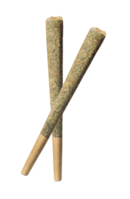 November Rain : Dreamcatcher Pre-Rolls (2x1g)