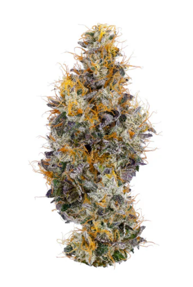 Coast Mountain Cannabis : BC Organic Vanilla Frosting