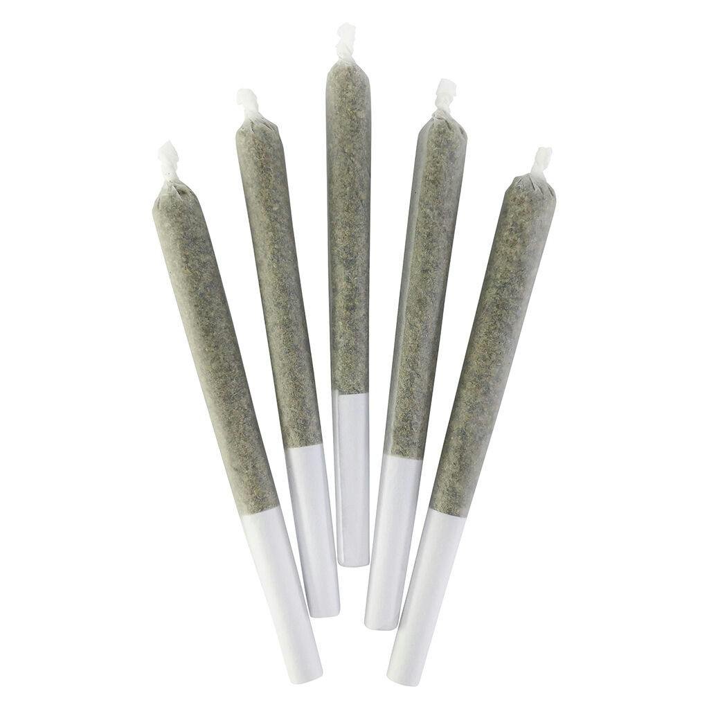 Bc Doobies : Gusher Stomper Pre-Rolls (5x0.5g)