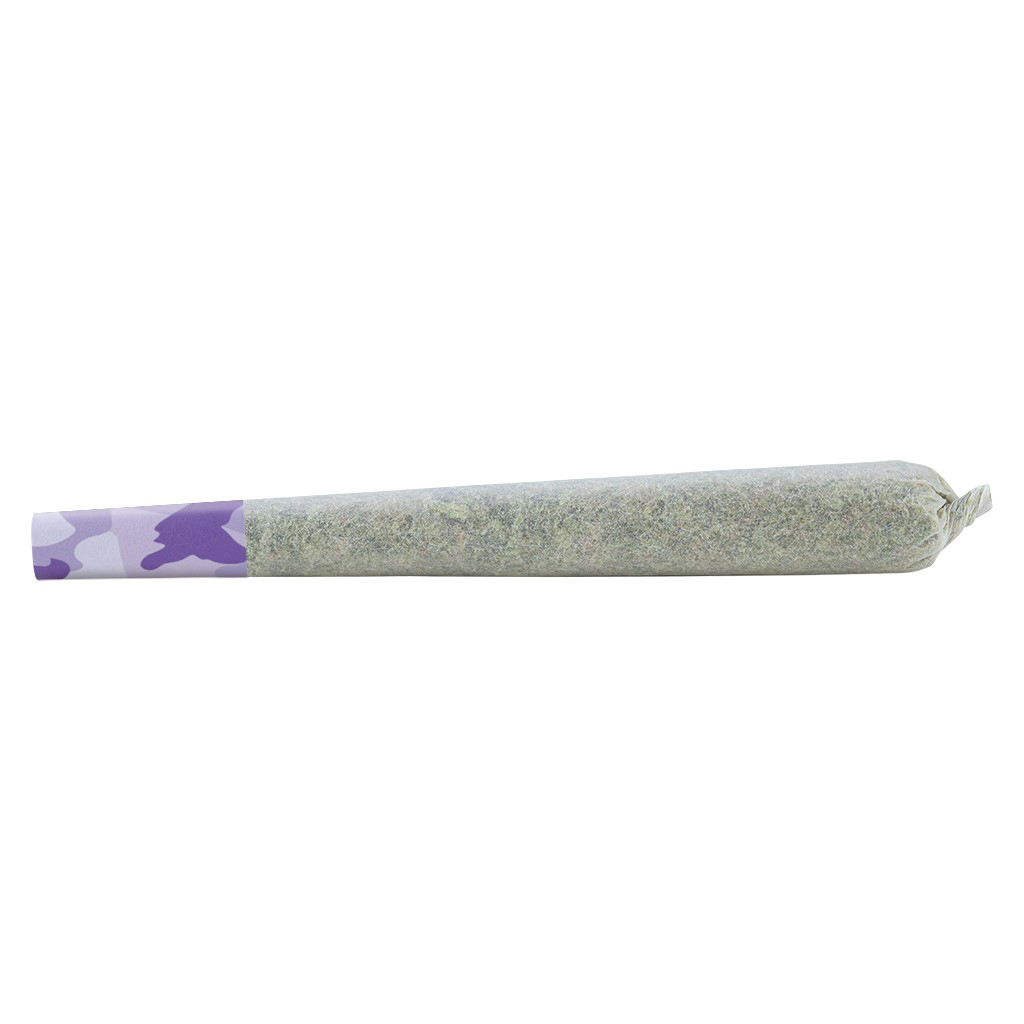 Shred - Dessert Storm Pre-Roll - 1G