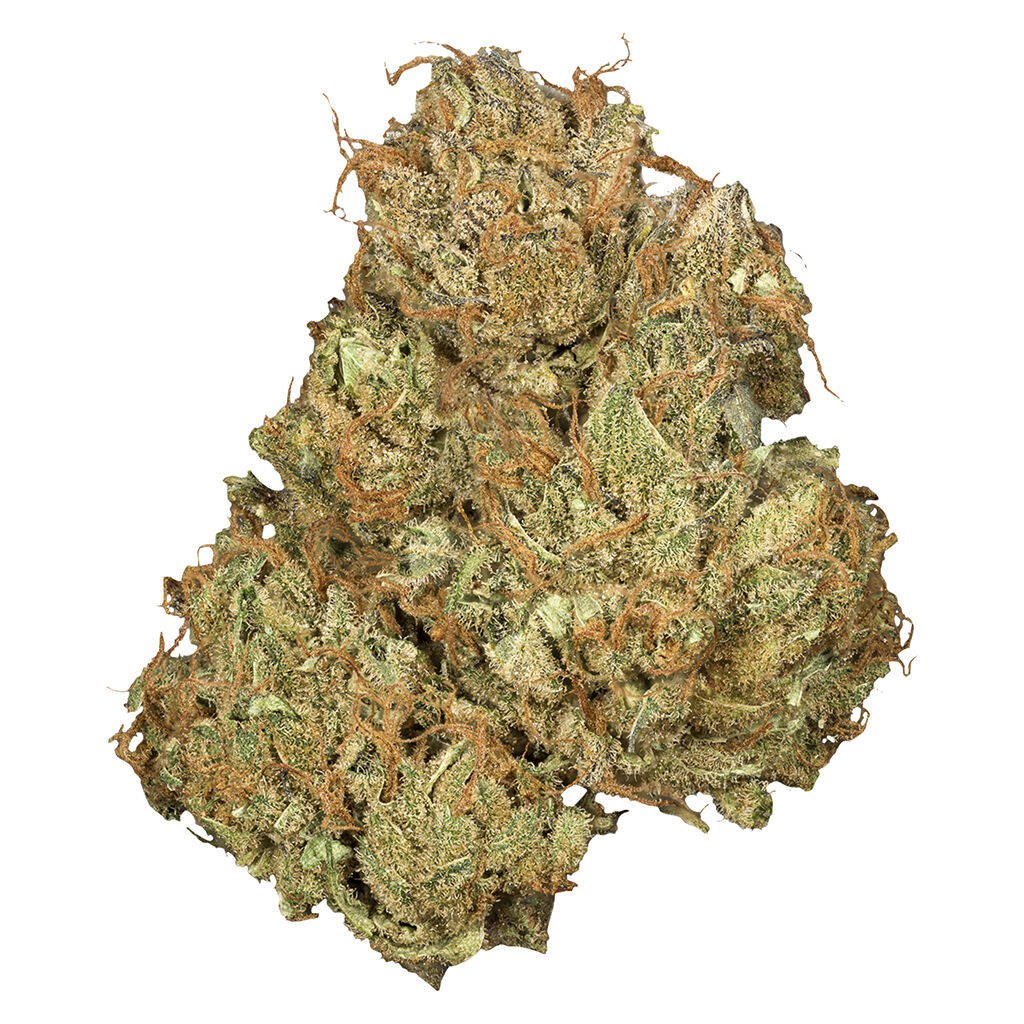 Orchid Cbd - Jean Guy Cbd - 3.5G