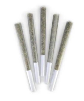 Dealr : Breakfast Of Champions Pre-Rolls (5x0.5g)