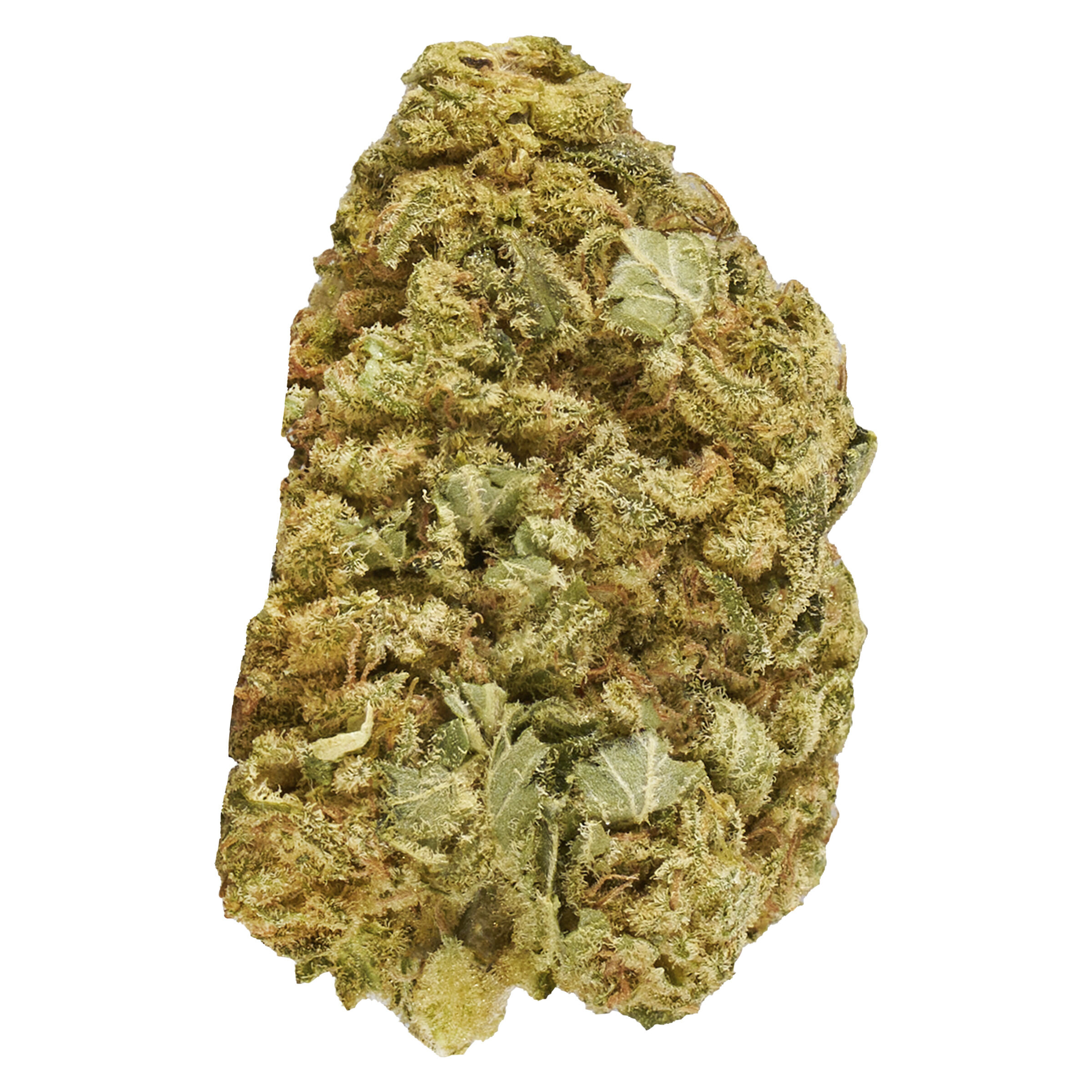 Good Supply : MASTER MAZAR KUSH