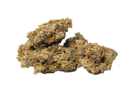Purefireco : Twisted Rntz