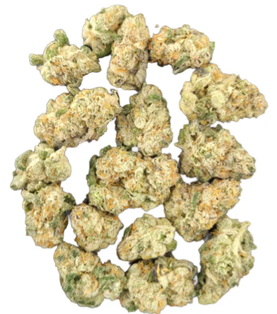Victoria Cannabis Company : Roll-X Mini's