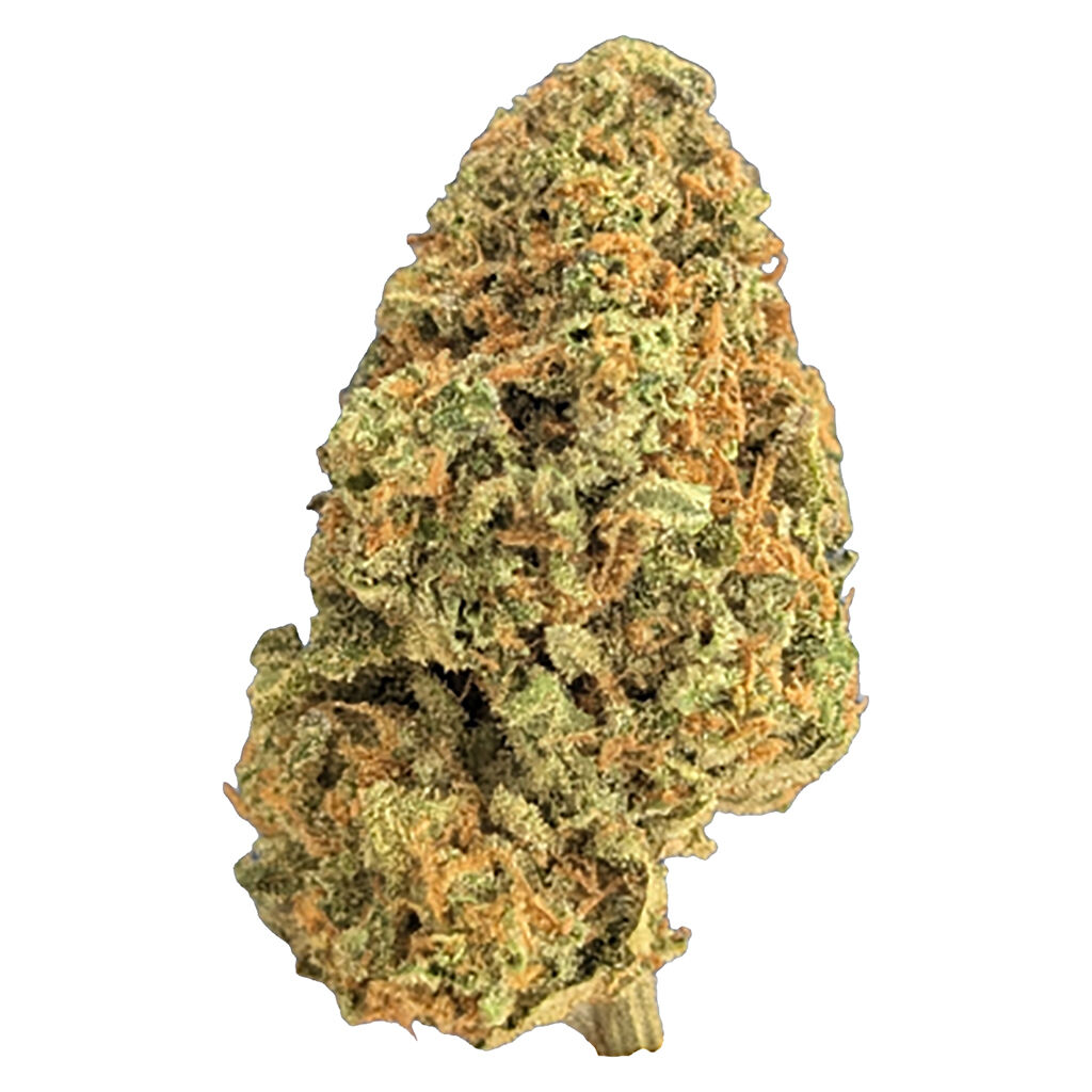 Simply Bare Organic : BC Organic Plumz LTO
