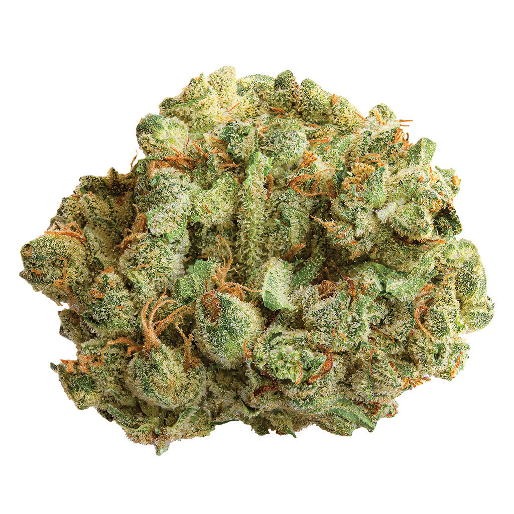 Spinach : Cocoa Bomba