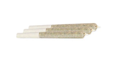 Bc Green : Glue 31 Pre-Rolls (3x0.5g)