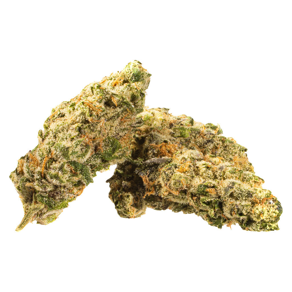 Phant Craft - Tuna Breath - 7G