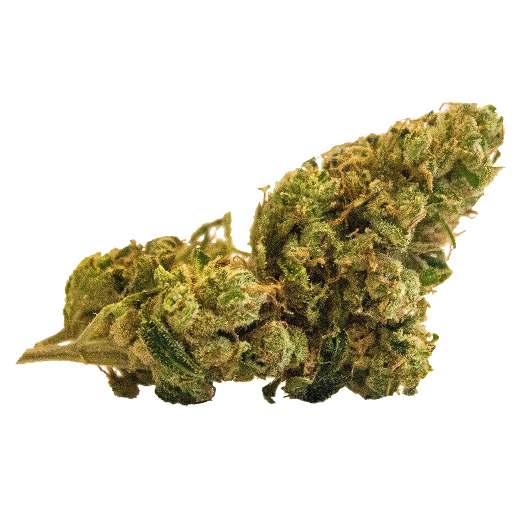 VERSUS : SUPER LEMON HAZE