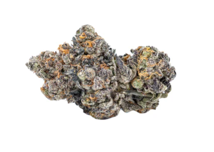 Sixty Seven Sins : Gas Face