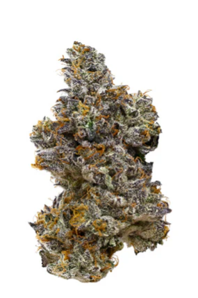 Kootenay Cultivar : Tiramisu
