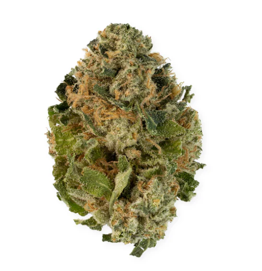 Book Club : Licorice Gumball Indica