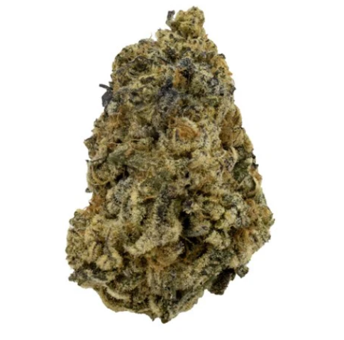 Xxox - Frosted Fruit Cake Lto