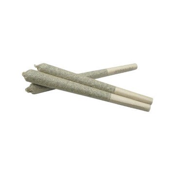 CAMP RIVER CANNABIS : LICORICE KUSH PREMIUM WHOLE FLOWER JOINTS - LICORICE KUSH PREMIUM WHOLE FLOWER JOINTS (3 X .5G)
