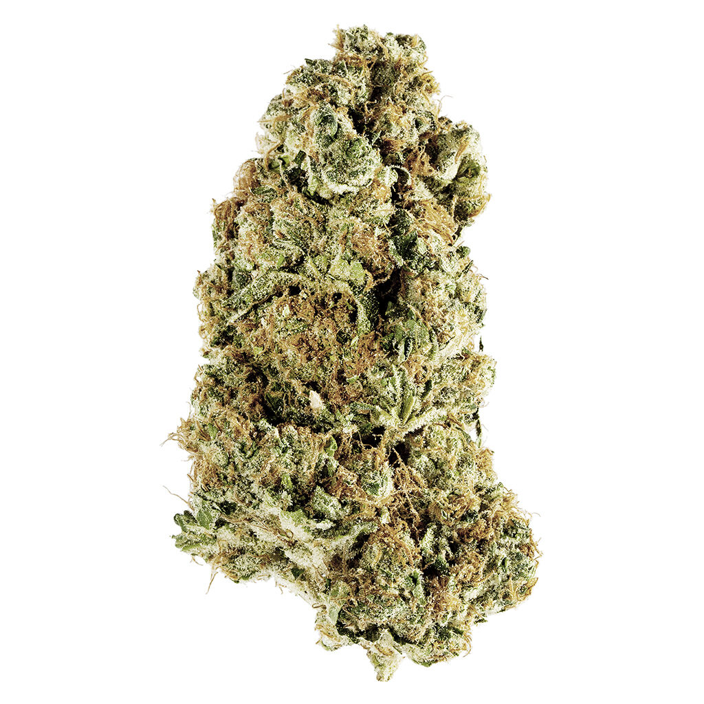 Redecan : Animal Rntz
