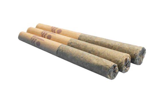 All Nations - Sto:Lo Haze Pre-Rolls - All Nations : Sto:Lo Haze Pre-Rolls (3x0.5g)