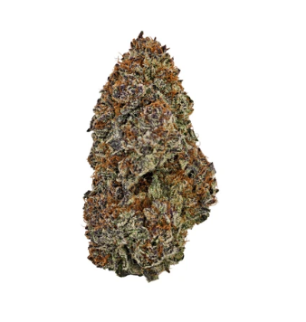 Cappellano Cannabis Co. : Organic LSO Cantucci