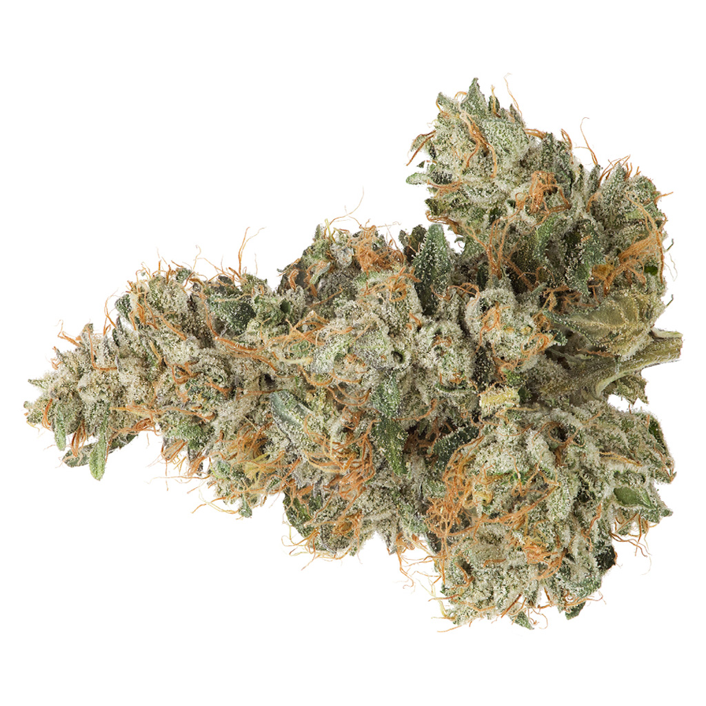 COAST MOUNTAIN CANNABIS : BC ORGANIC PEMBERTON PINK