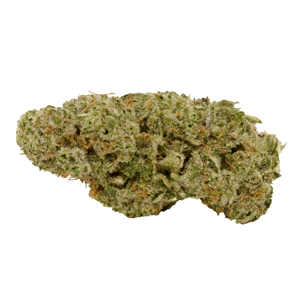 DNA Genetics : GOLDEN LEMONS