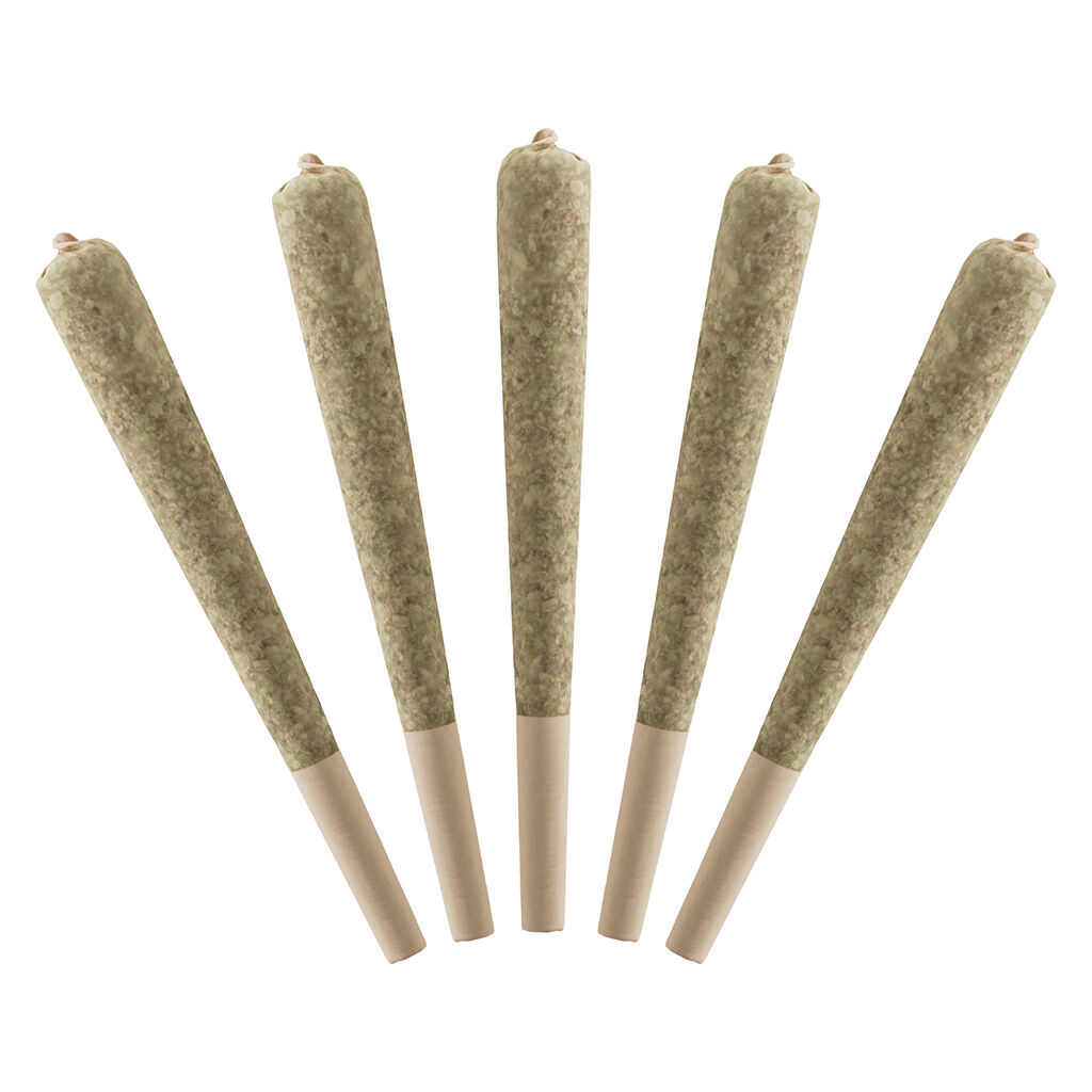 Standard Issue : Watermelon Infused Pre-Rolls (5pk)