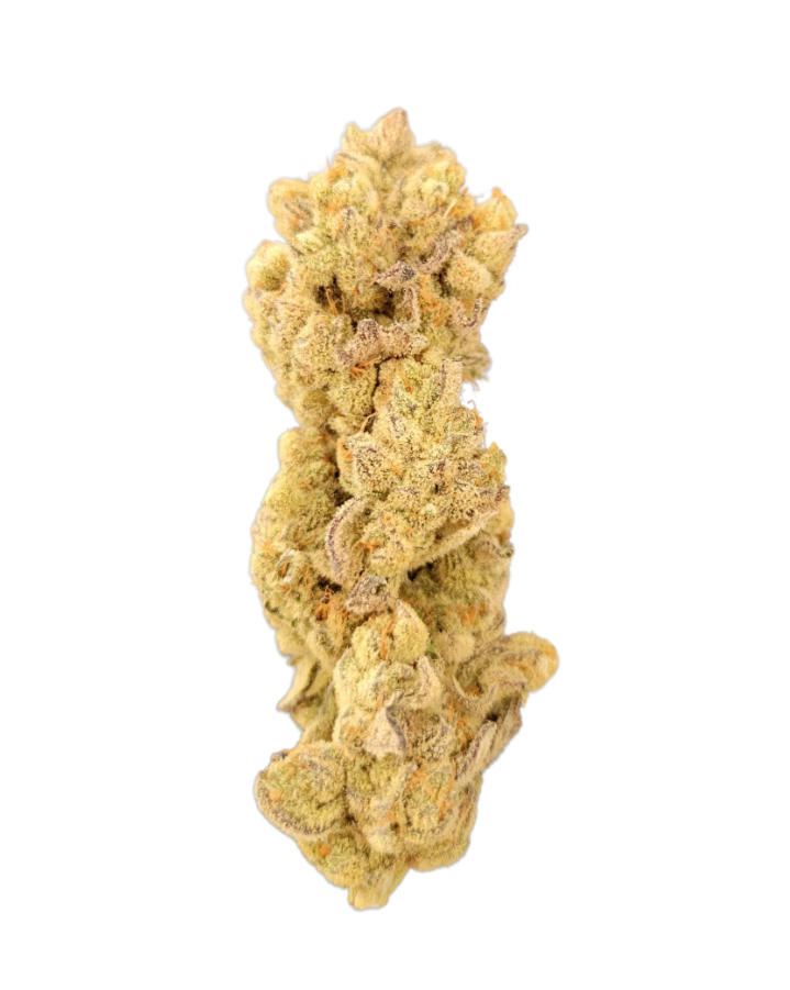 Weeds Farmgate : Fruit Loops Kush