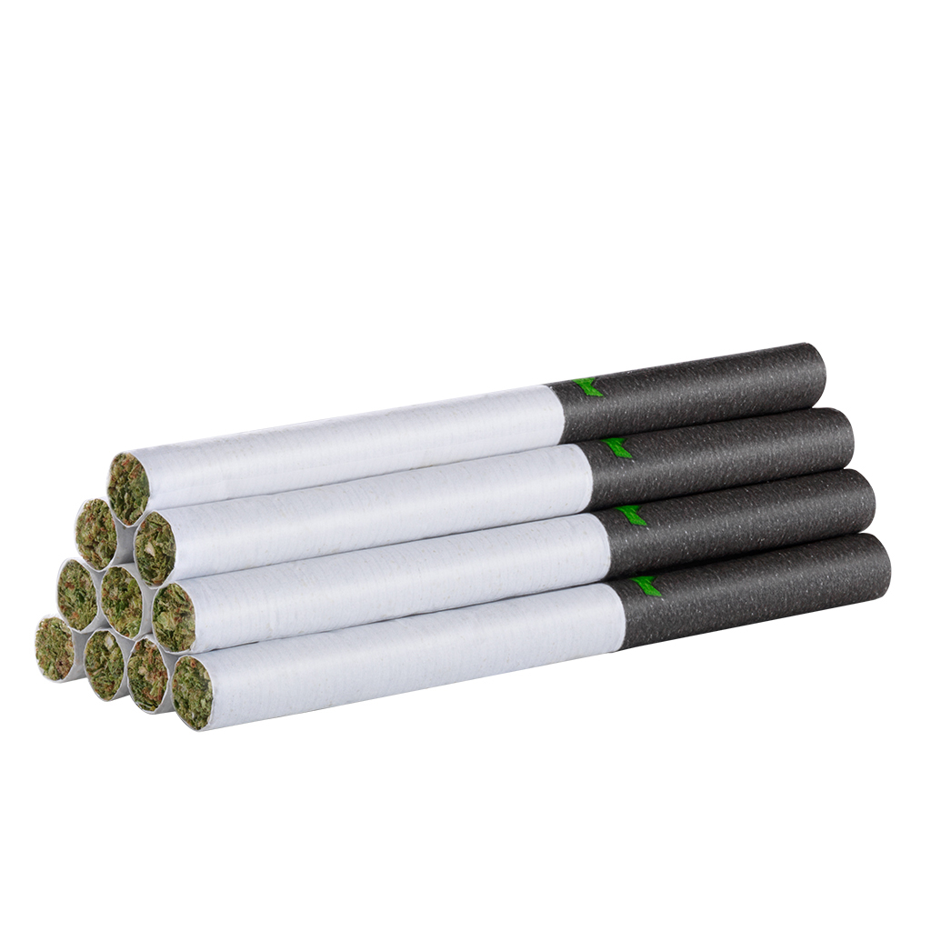 Redecan - Royal Collection King Var Pack -  Hybrid 28G