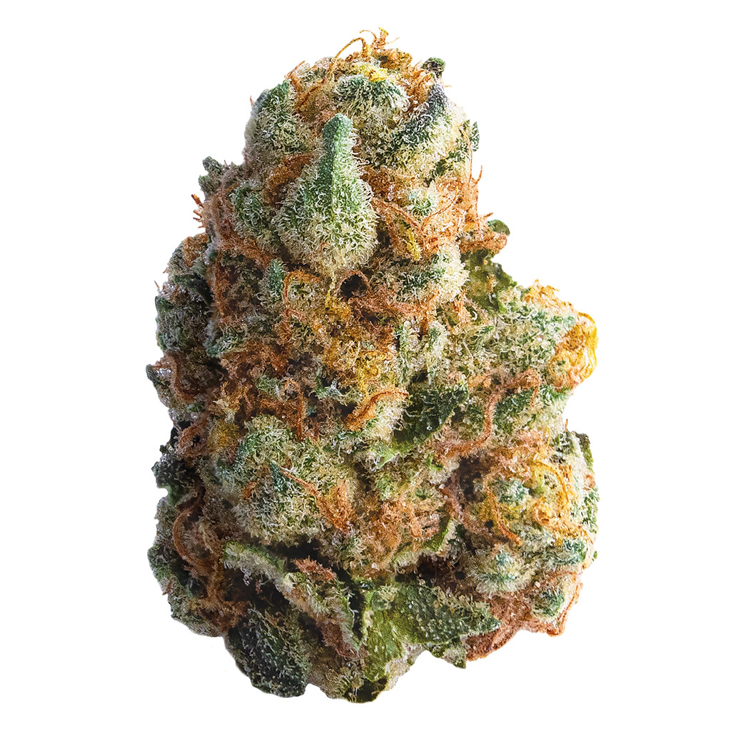 Spinach : GMO Cookies