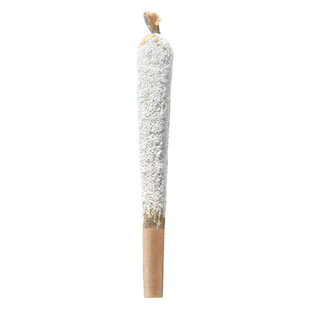 VERSUS : VERSUS-CBD ISLT THC FRST SLGR INF PR - VERSUS CBD ISLT THC FRST SLGR INFUSED PRE-ROLL (1x1g)