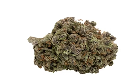 Crones Nest Farms: Bruce Banner
