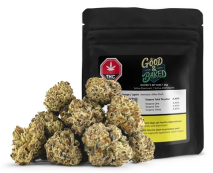 Good & Baked : Where's My Bike?