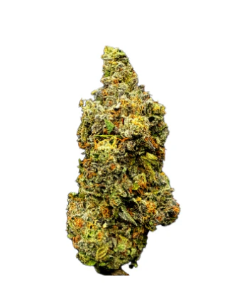 Purefire Co : Forum Cut (Gsc)