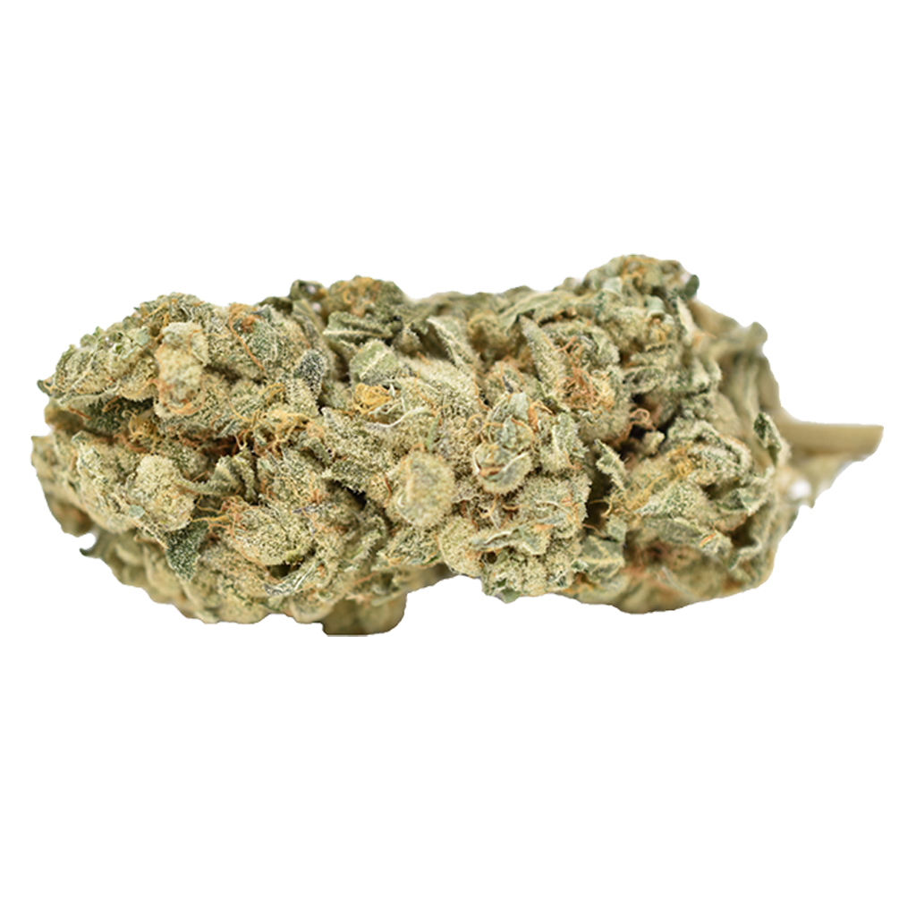 Weed Me : Blue Iguana