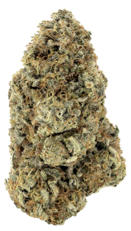 Woody Nelson : Rainbow Driver Craft Flower