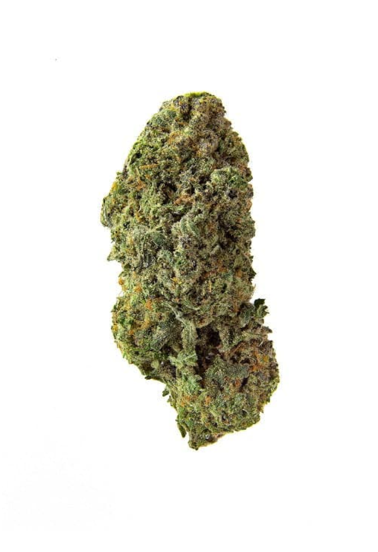 Homestead : Bandwagon Sativa