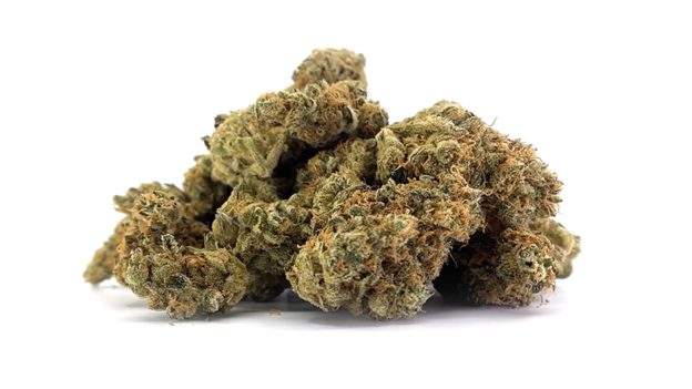 BC OZ : SNOW DIESEL