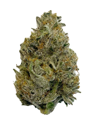 Indigenous Bloom : Mac 1