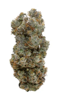 Victoria Cannabis Company : Helium Mini's