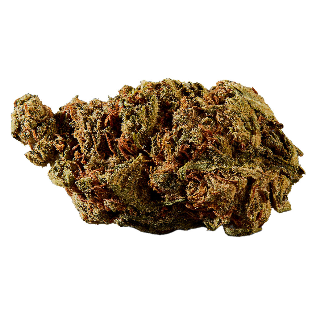 VERSUS : BC GOD BUD